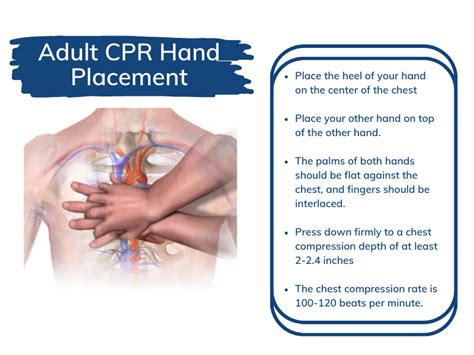 resussitame|what is the correct chest compression rate for adults.